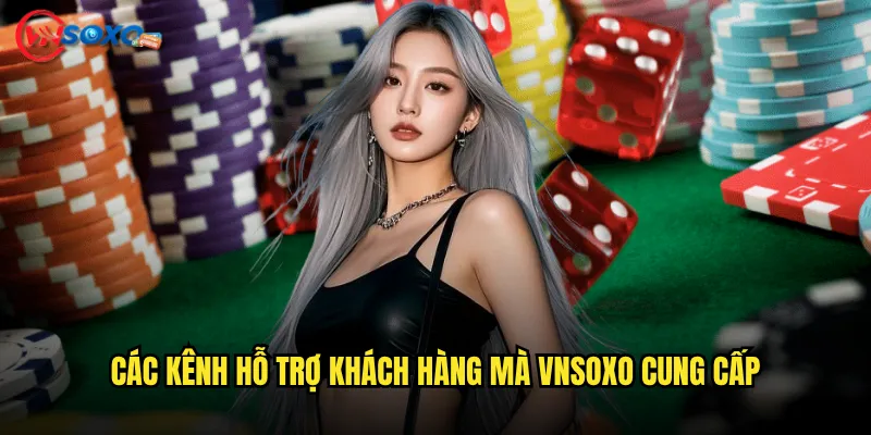 Các kênh hỗ trợ khách hàng mà Vnsoxo cung cấp