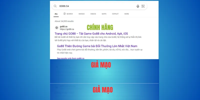 Bước 3: Cảnh giác trang giả mạo
